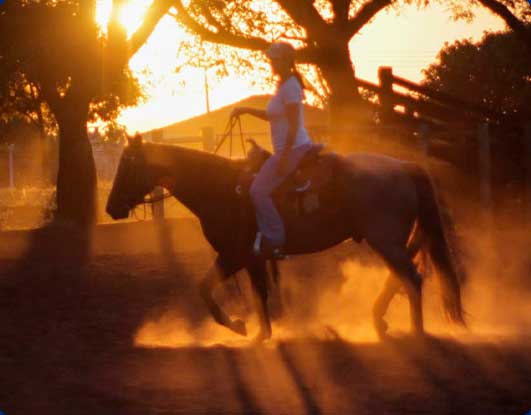Foto de um mulher cavalgando em cavalo marrom em um final de tarde ensolarado, vista de lado
