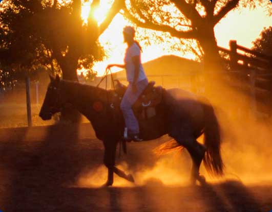 Foto de um mulher cavalgando em cavalo marrom em um final de tarde ensolarado, vista de lado
